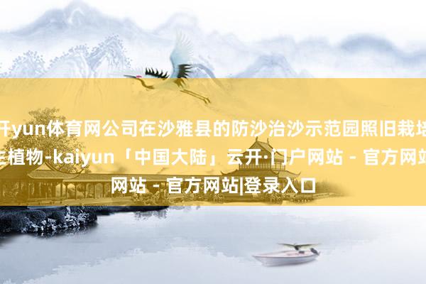 开yun体育网公司在沙雅县的防沙治沙示范园照旧栽培了多种沙生植物-kaiyun「中国大陆」云开·门户网站 - 官方网站|登录入口